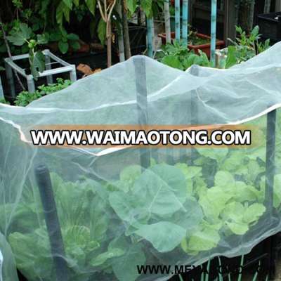 plant protection plastic anti bird/Hail/Insect net anti insect net for crop