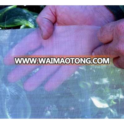 Thrips - Insect Netting